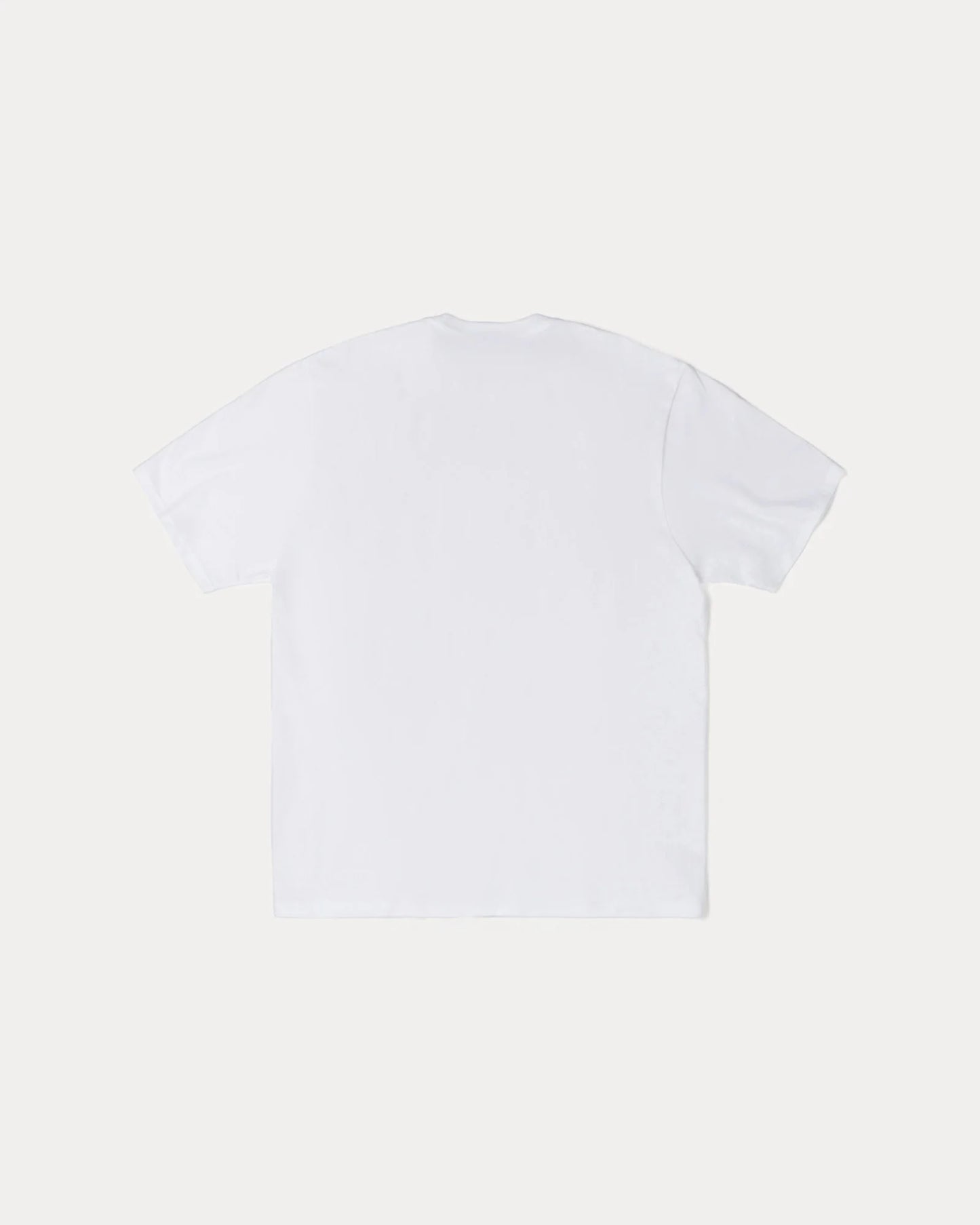 STUSSY SPEEDWAY TEE (WHITE)