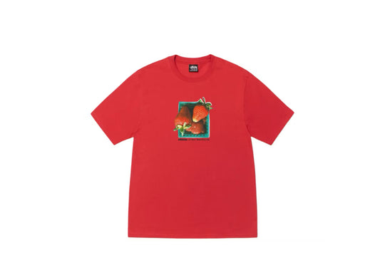 Stussy Berries Tee Red