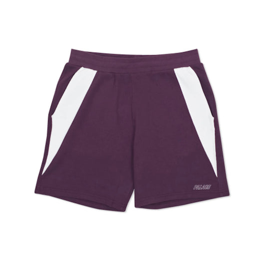 Palace Peak Shorts Purple