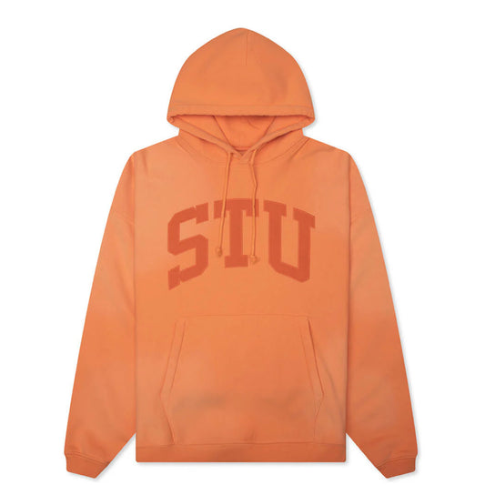 Stussy STU APPLIQUE HOODIE Orange