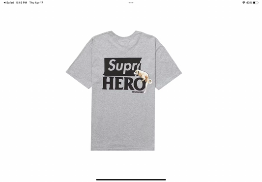 Supreme Antihero Tee Grey